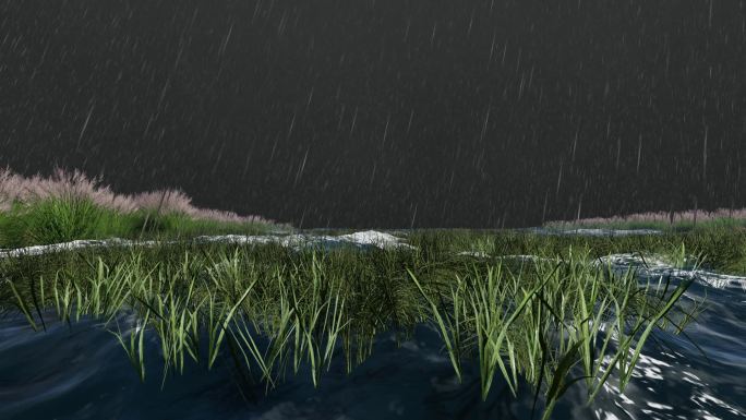 大雨湖面芦苇水草三维动画