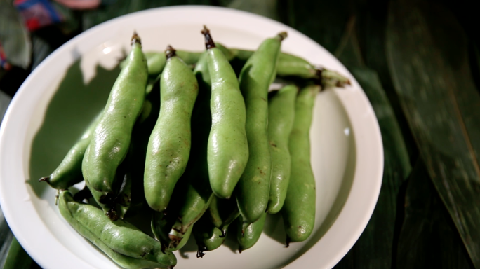 种植蚕豆毛豆豆角毛豆炒饭