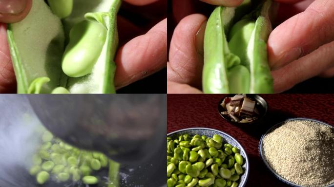 种植蚕豆毛豆豆角毛豆炒饭