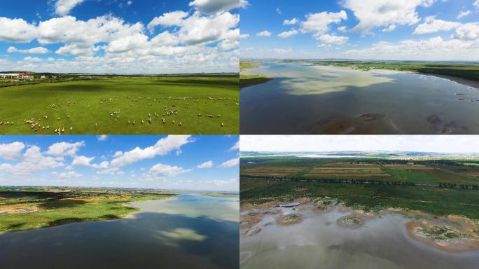 航拍内蒙古草原上的羊群和河流湖泊4k