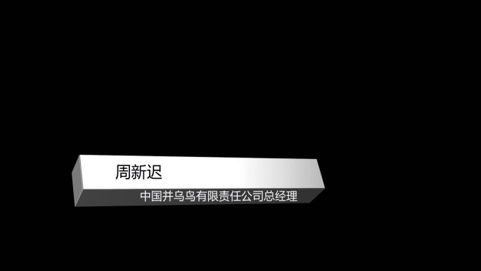 科技感十足长方体立体职务字幕条