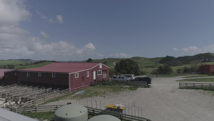 新西兰牧场航拍羊群牧场新西兰羊毛被