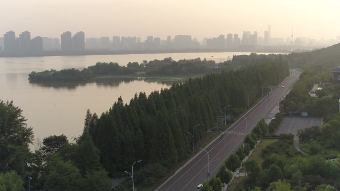 徐州云龙湖湖东路水杉步道