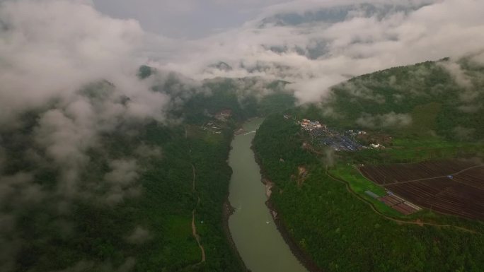 西藏墨脱原始森林热带雨林