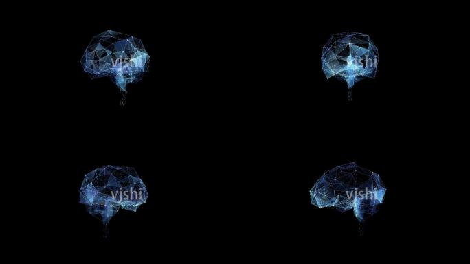 蓝色科技点线面大脑视频素材