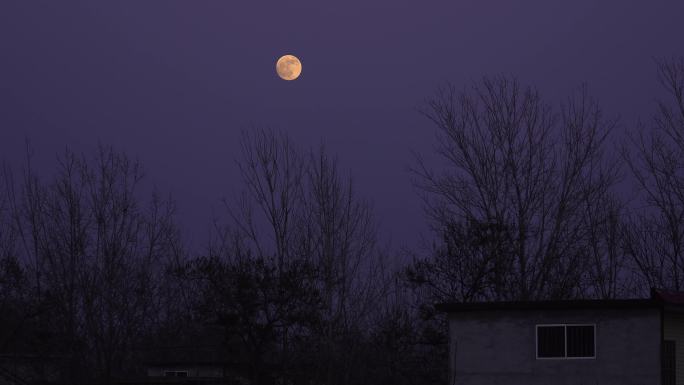 4K农村夜晚大月亮