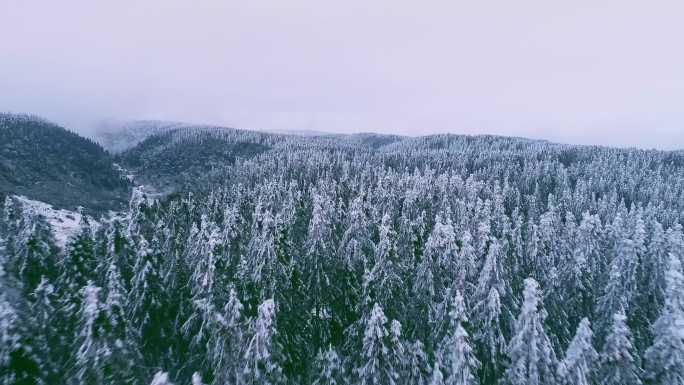 重庆武隆仙女山雪景航拍已调色和未调色素材