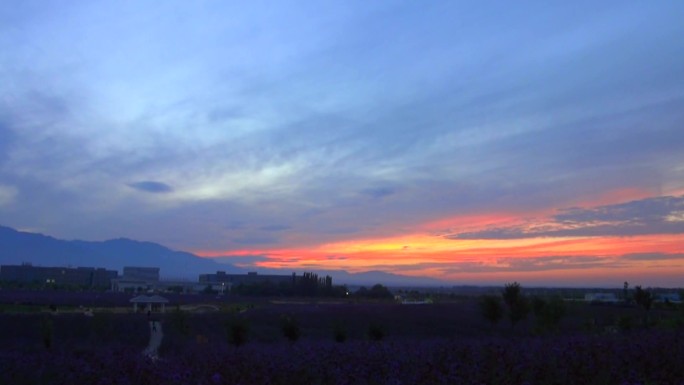 城市日出朝霞太阳升起晚霞落日夕阳红延时