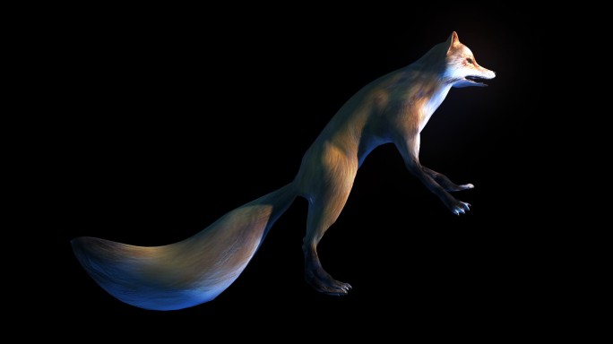 生物-狐狸-跳跃（带通道）