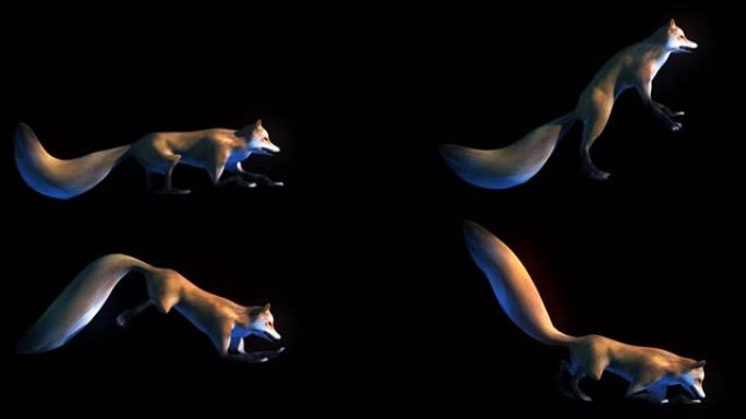 生物-狐狸-跳跃（带通道）