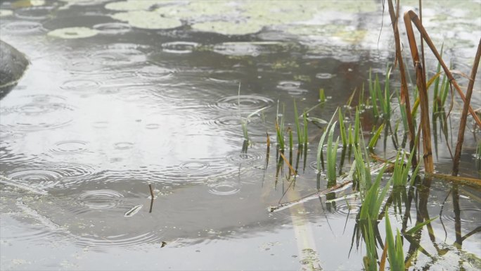 下雨天的水面，地面