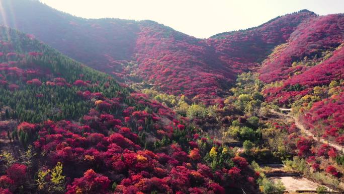 4K航拍红叶谷和山村