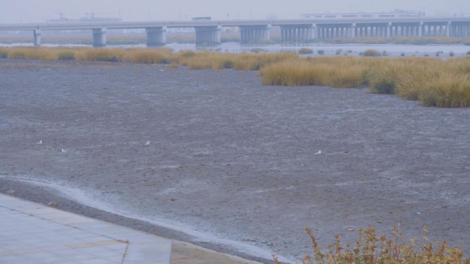 4K泥滩-城阳高新区胶洲湾泥滩-滩涂