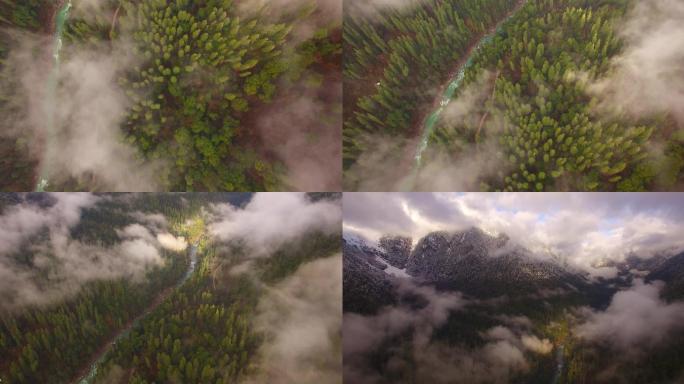 航拍西藏山谷原始森林云彩虹