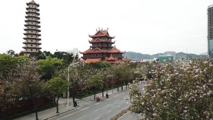 【1080p】航拍福建福州西禅寺“樱花”