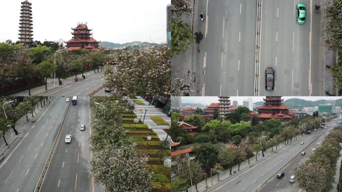 【1080p】航拍福建福州西禅寺“樱花”