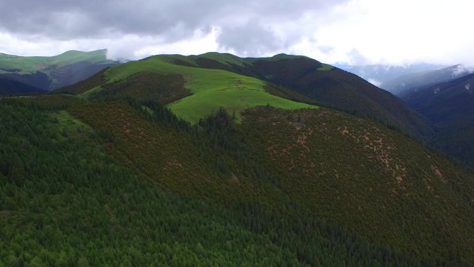 卡子拉山草甸