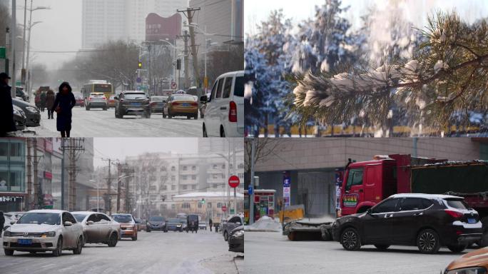 下雪树木车流城市