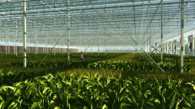 农业中心未来农业蔬菜大棚