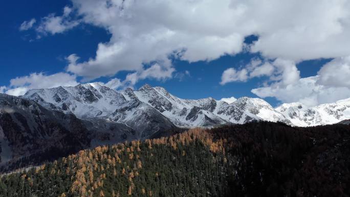 雅拉雪山