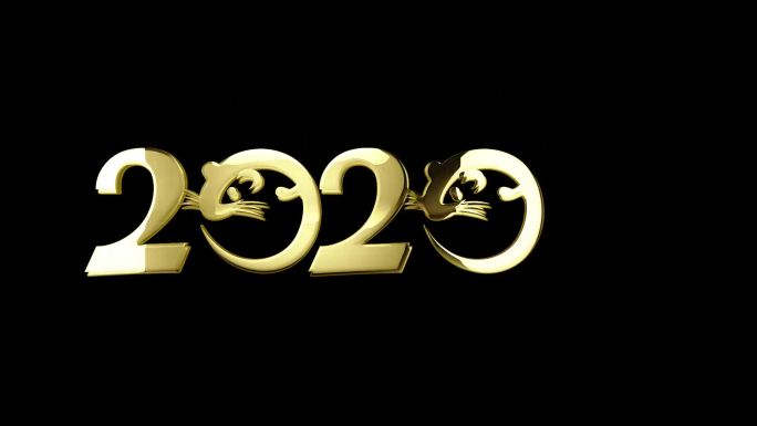 2020金字