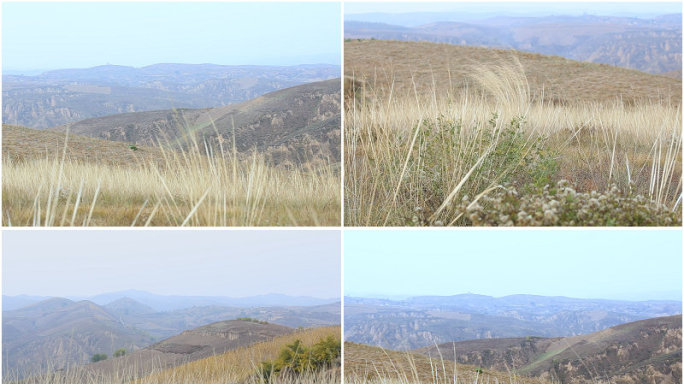 黄土高原山坡枯草山顶黄土高坡蓝天