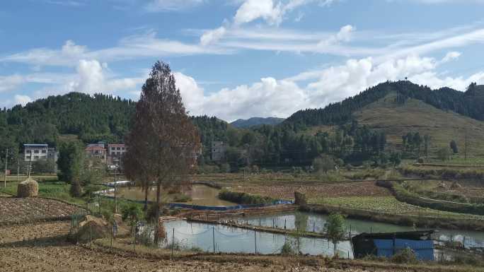 4K实拍农村耕地远景9秒