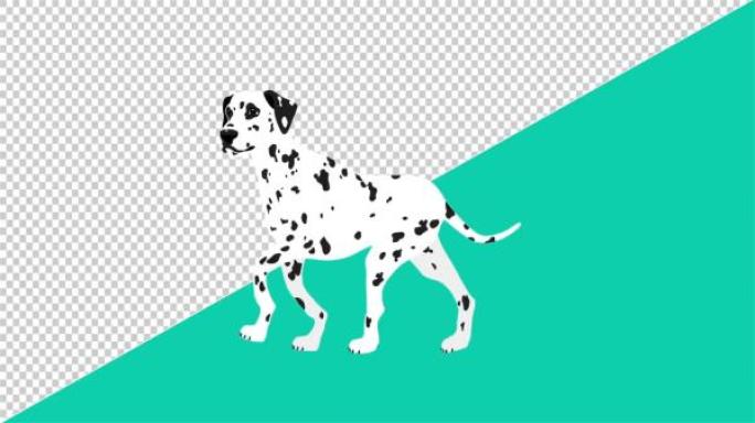 卡通行走的斑点狗MG动画视频素材