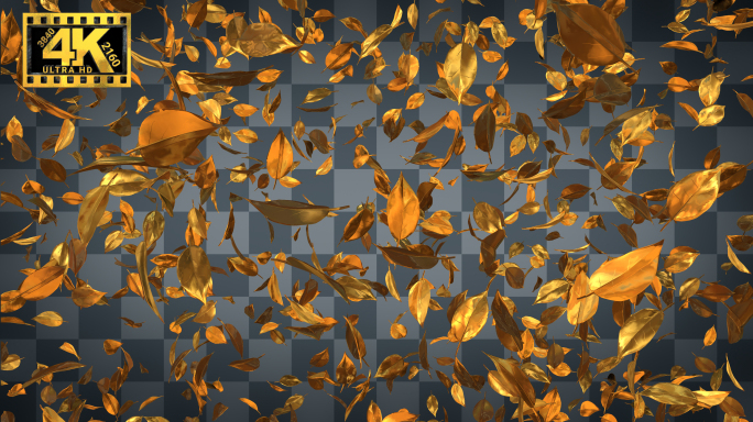 4K黄金树叶爆炸扩散透明通道