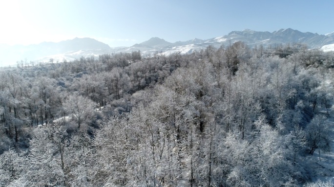 甘肃4k雪景航拍