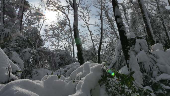 雪景延时