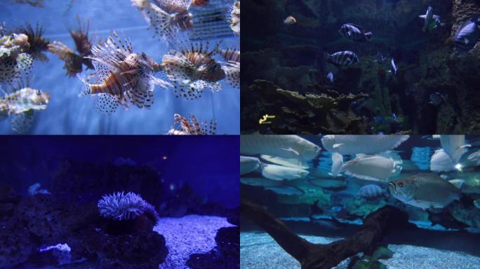 海洋馆海底世界