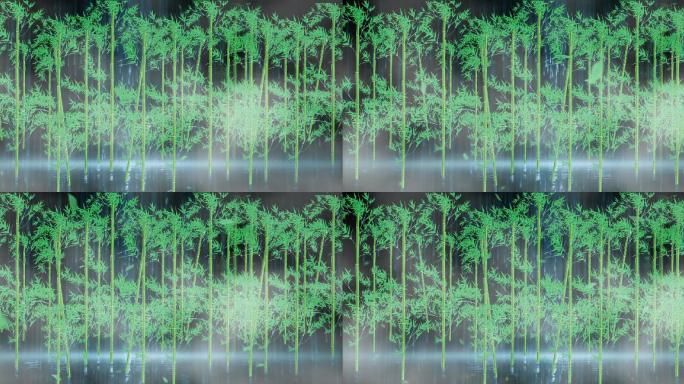 (宽屏）竹子竹林背景循环