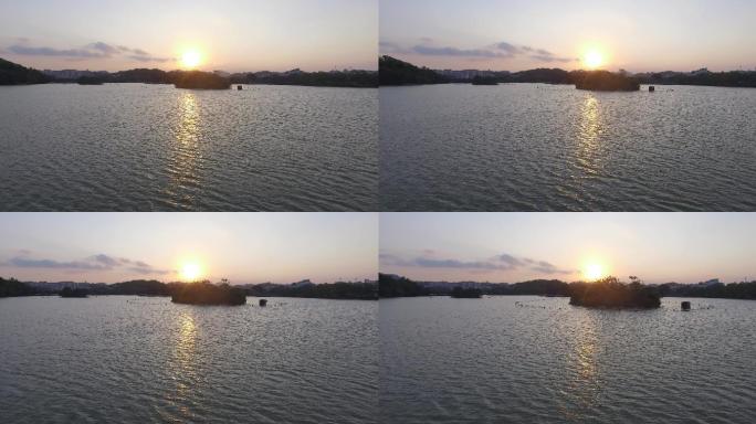 惠州湿地朝阳升起