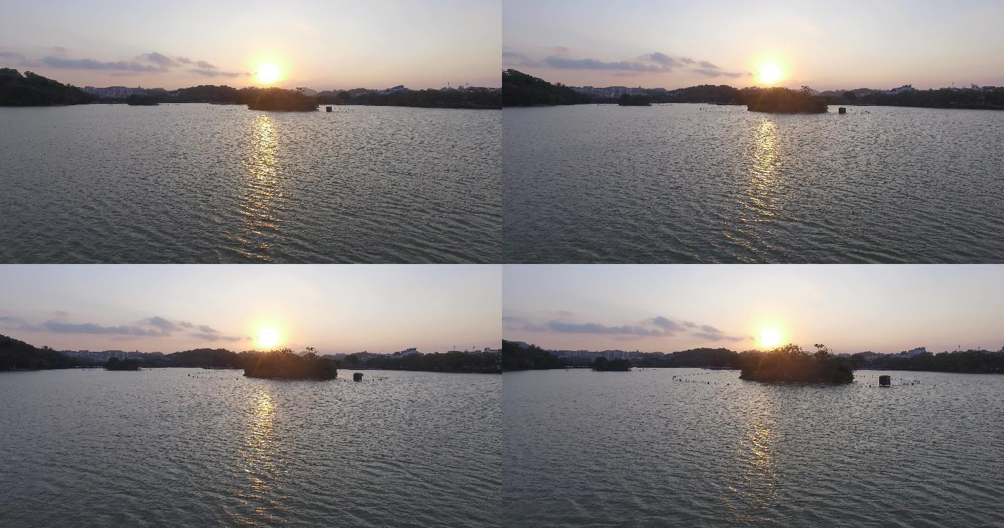 惠州湿地朝阳升起