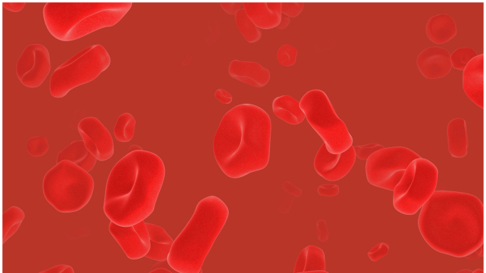 4k红细胞流动医疗视频素材