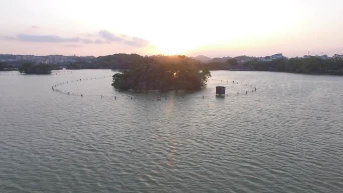 惠州湿地朝阳升起逆光拍摄