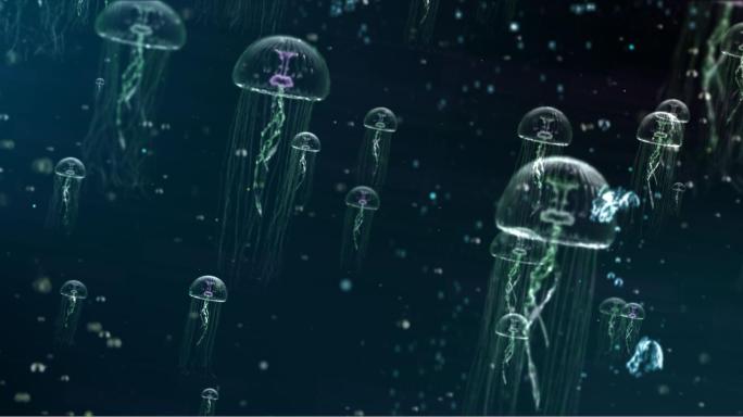 【原创】4K超清海底世界水母群