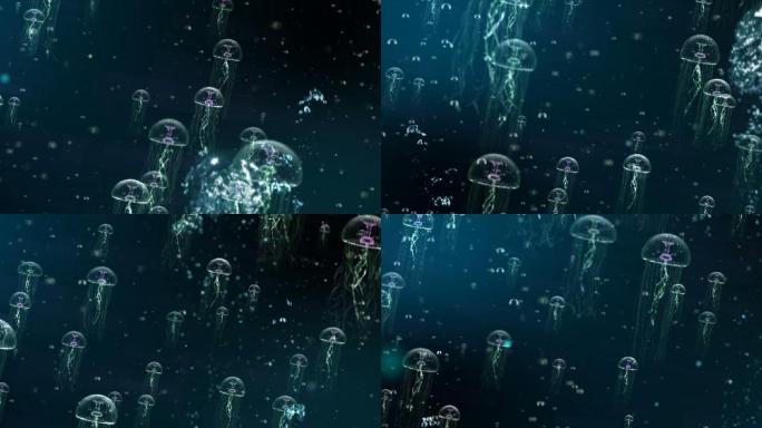 【原创】4K超清海底世界水母群