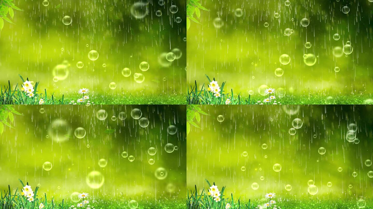雨中花唯美背景循环