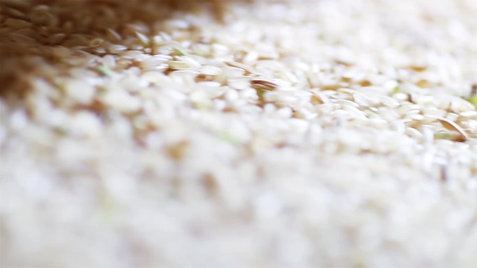 稻米脱壳机械化加工