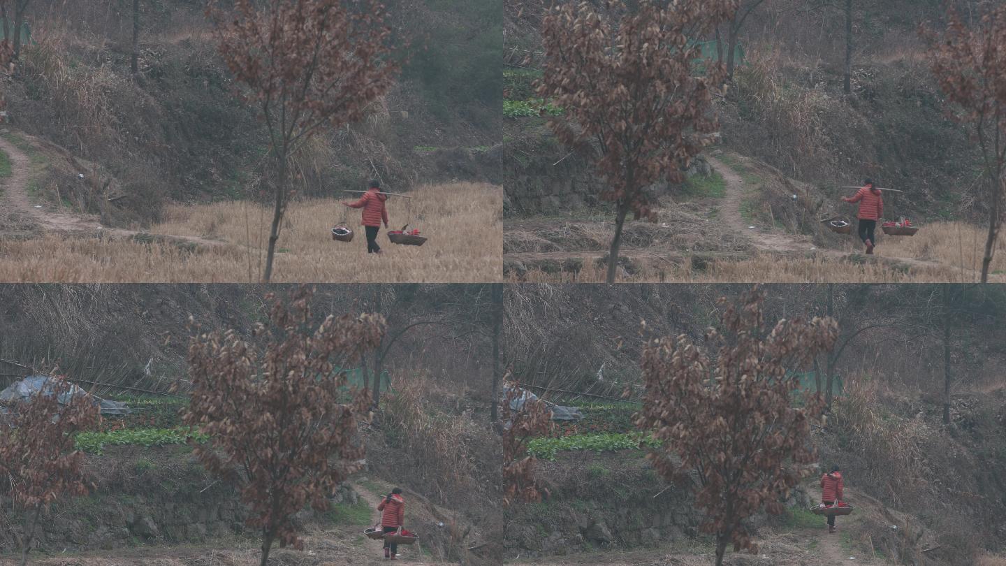 4k视频，冬季挑担的妇女在田野上走过