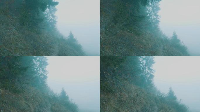 4K森林山林起雾烟雾草坪大雾弥漫