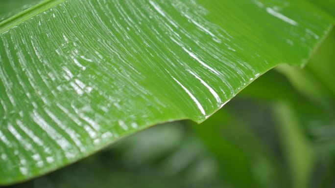 雨天