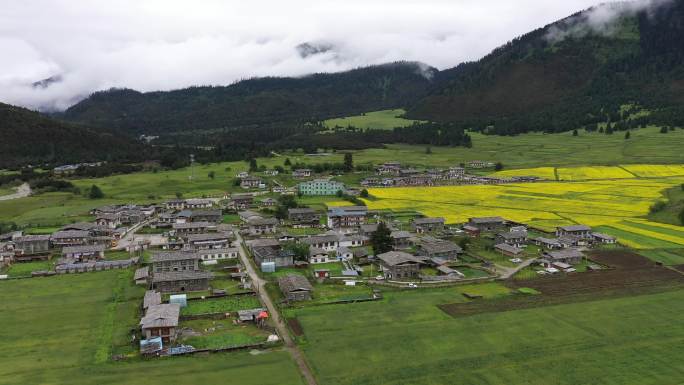 西藏林芝扎西岗民俗村