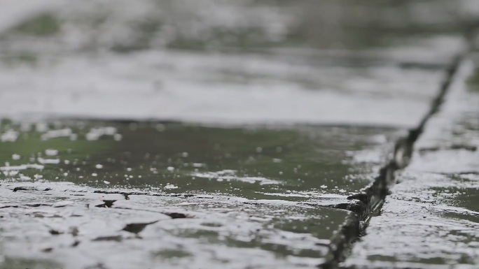 乌云蔽日-下雨-落叶