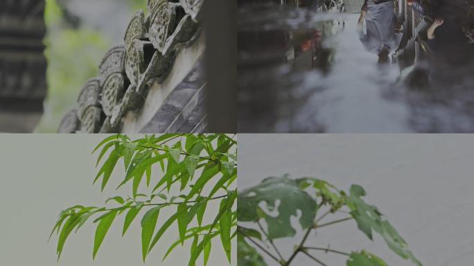 雨天-雨水-绿叶-空镜