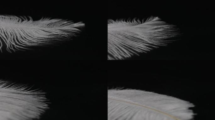 【4K】缓慢旋转的洁白羽毛03
