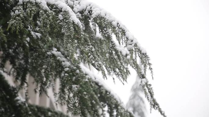 雪景