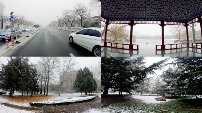 下雪下雪公园下雪交通下雪等公交